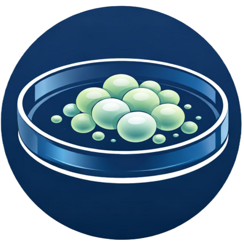 stem Cell
